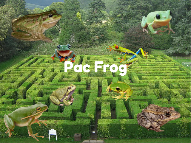Pac Frog